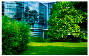 Minneapolis Commercial Lawncare