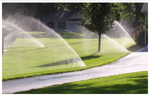 Minneapolis Commercial Lawncare