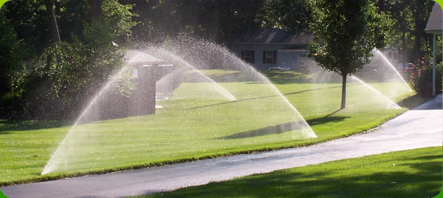 What's New Minneapolis Lawn Care
