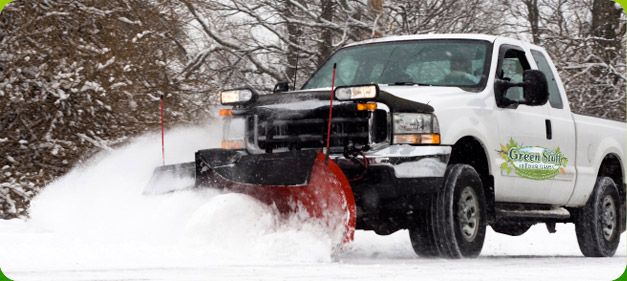 What's New Minneapolis Lawn Care